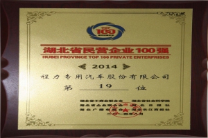 湖北省民营企业百强