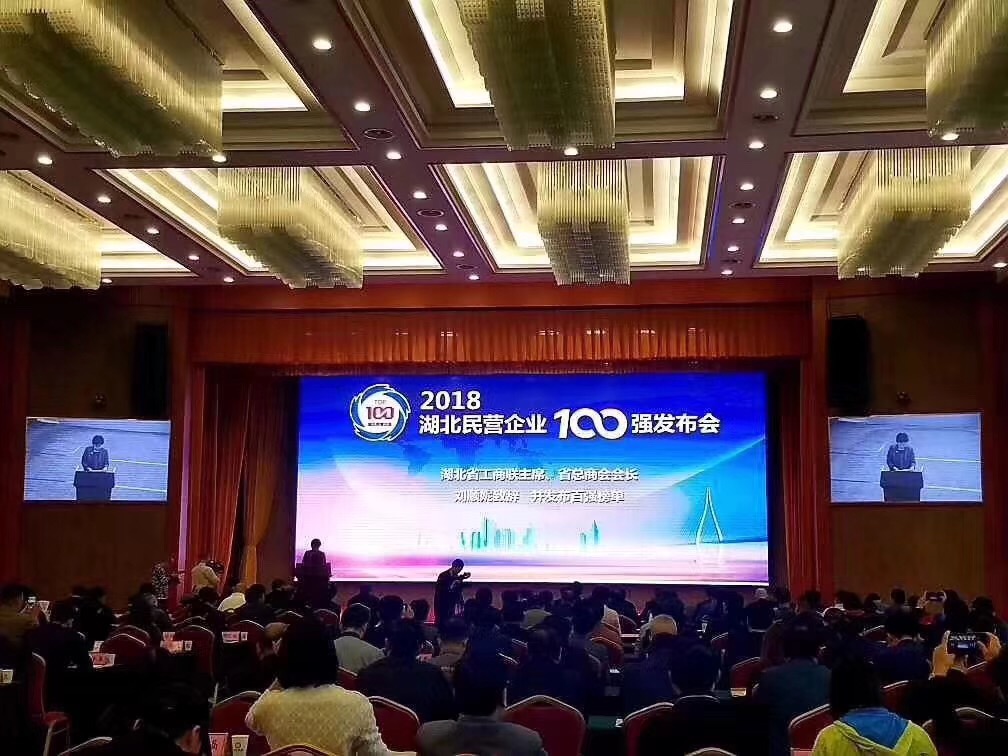 湖北民营企业100强发布会现场