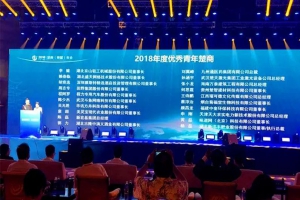 湖北省工商联、党组书记率队莅临程力汽车集团做专题调研助推民企高质量发展