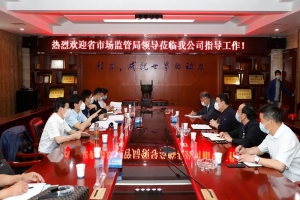 湖北省市场监督管理局领导视察程力汽车集团指导工作